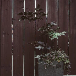 Lättviktskruka Square, Large -Hot Sale Wexthuset Store lattviktskruka square miljo 1