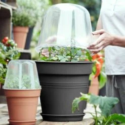 Elho Minidrivhus, Green Basics, Svart, 30 Cm