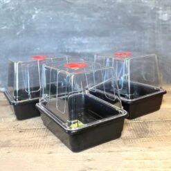 Minidrivhus Liten Utan Hål, 3-pack -Hot Sale Wexthuset Store minidrivhus liten 3 pack 1