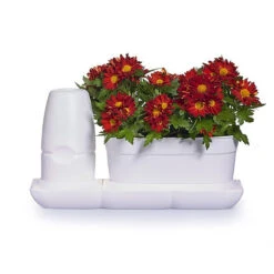 Minigarden Basic Uno S Vit -Hot Sale Wexthuset Store minigarden basic uno sjalvbevattningskruka