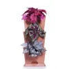 Minigarden One Vertikalodling, Terrakotta 1 Minigarden One Vertikalodling, Terrakotta -Hot Sale Wexthuset Store minigarden one vertikalodling terrakotta