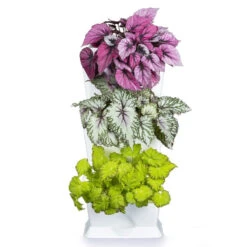 Minigarden One Vertikalodling, Vit -Hot Sale Wexthuset Store minigarden one vertikalodling vit