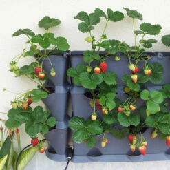 Minigarden Vertical Växtvägg, Grå -Hot Sale Wexthuset Store minigarden vertical grey