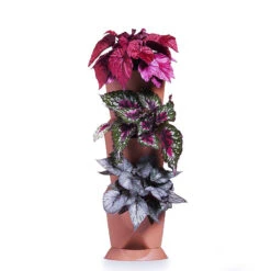 Minigarden One Vertikalodling, Vit -Hot Sale Wexthuset Store minigarden vertical odling av krukvaxter pa hojden 2