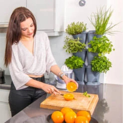 Minigarden Corner Vertikalodling, Grön -Hot Sale Wexthuset Store minigarden vertical tva stycken med kryddor i koket 3