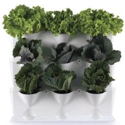 Minigarden Vertical Växtvägg, Grön -Hot Sale Wexthuset Store minigarden vertical vaxtvagg med kalvaxter