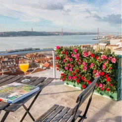 Minigarden Vertical Växtvägg, Grå -Hot Sale Wexthuset Store minigarden vertical vaxtvagg med rosor