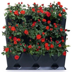 Minigarden Vertical Växtvägg, Vit -Hot Sale Wexthuset Store minigarden vertical vaxtvagg planterad med roda rosor 3