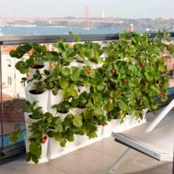 Minigarden Vertical Växtvägg, Svart -Hot Sale Wexthuset Store minigarden vertical vit jordgubbar 1