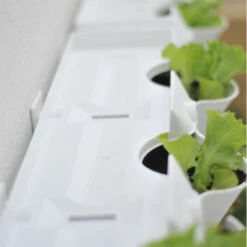 Minigarden Fäste, Fixers Vit -Hot Sale Wexthuset Store monterat vaggfaste minigarden vertical vaggodlingssystem 3