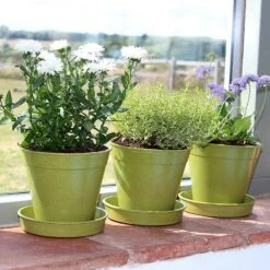 Bambukruka 15 Cm Salviagrön, 5-pack -Hot Sale Wexthuset Store planteringskrukor och fat i bambu salviagron