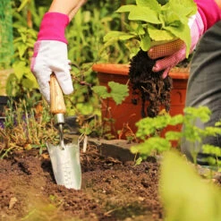 Planteringsspade Med Mått -Hot Sale Wexthuset Store planteringsspade hand transplanting trowel2