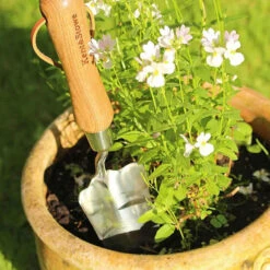 Planteringsspade Med Mått -Hot Sale Wexthuset Store planteringsspade hand transplanting trowel3