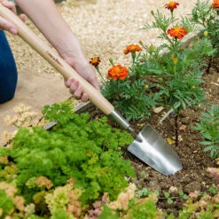 Planterspade Med Kort Skaft