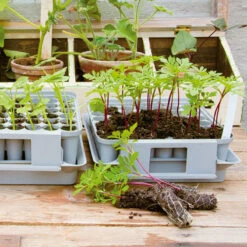 Pluggbox - PlantStart -Hot Sale Wexthuset Store plantstart pluggbox2