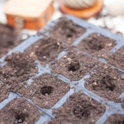 Pluggbrätte Av Naturgummi 20 Celler, Delbart -Hot Sale Wexthuset Store pluggbratte i naturgummi 20 cell 2