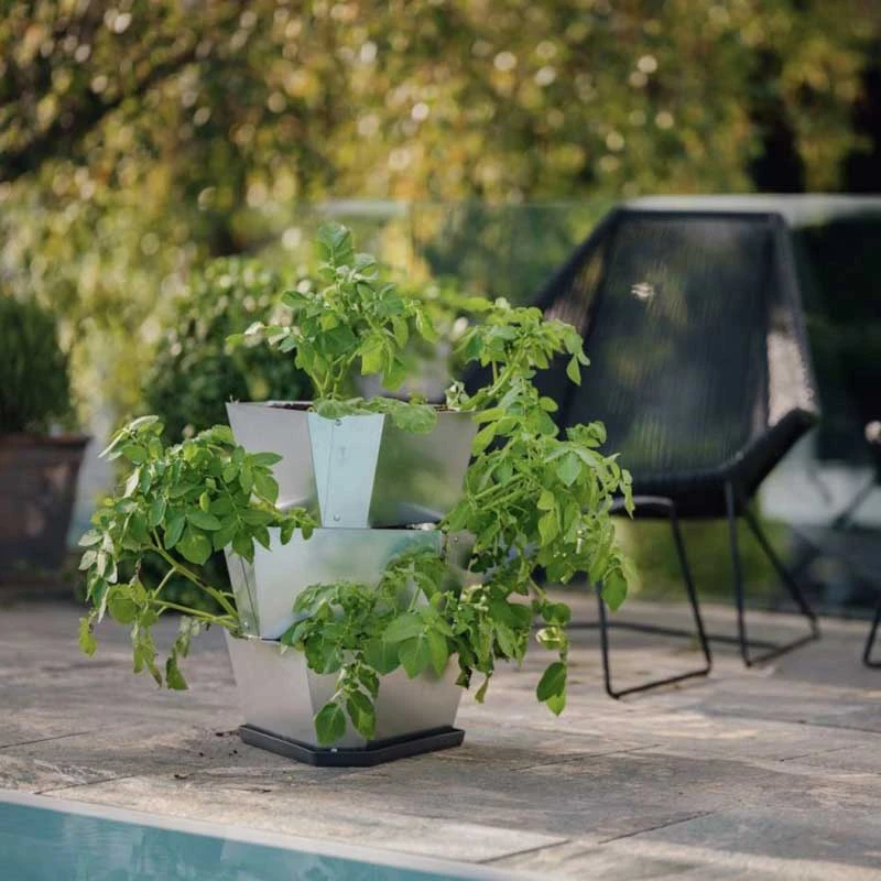 Potatiskruka Paul Potato 3 Plan, Stål 4 Potatiskruka Paul Potato 3 Plan, Stål - Image 2