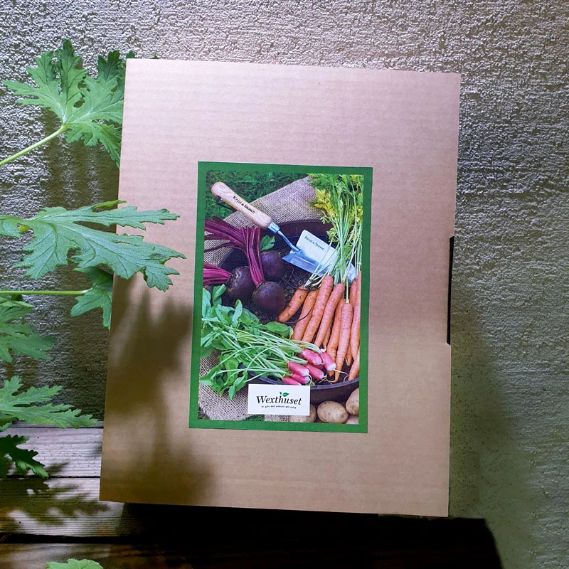 Presentförpackning Garden Life 4 Presentförpackning Garden Life - Image 2