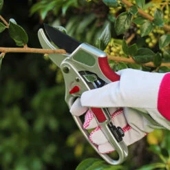 Ratchetsekatör -Hot Sale Wexthuset Store ratchet sekator ratchet secateurs handle