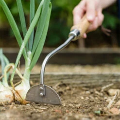 Rensraka, Hand Onion Hoe