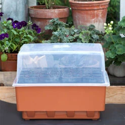 Minidrivhus Rootmaster, Brun -Hot Sale Wexthuset Store rootmaster med lock