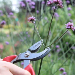 Sekatör, Cut-n-hold 15 Mm -Hot Sale Wexthuset Store sekator cut n hold miljobild