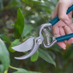 Tvåskärssekatör, Drop Forged Bypass Pro, 19 Mm