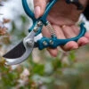 Trädgårdssax, Ergo Pruner Pro