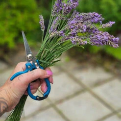 Trädgårdssax, Ergo Snips Pro -Hot Sale Wexthuset Store sekator ergo snips lavendel wh