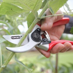 Sekatör, Expert Drop Forged 25 Mm -Hot Sale Wexthuset Store sekator expert drop forged beskarning