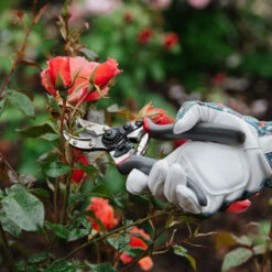 Skär-och Hållsekatör 20 Mm -Hot Sale Wexthuset Store sekator for rosor kent and stowe