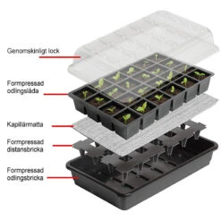 Seed Success Miniväxthus Med Bevattning, 12 Celler -Hot Sale Wexthuset Store sjalvbevattnande odlingstrag med genomskinligt lock 1