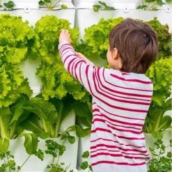 Minigarden Kitchen Garden, Grön -Hot Sale Wexthuset Store skord av gronsaker i kitchen garden vaggodling 1