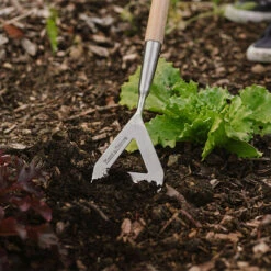 Skyffeljärn, Garden Life