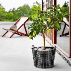 Trådkorg Korbo Classic 24 L, Galvaniserad -Hot Sale Wexthuset Store stalkorg korbo classic 24 citrustrad