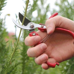 Trädgårdssax, Ergo Pruner 14 Mm