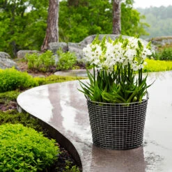 Trådkorg Korbo Classic 50 L, Galvaniserad -Hot Sale Wexthuset Store tradkord classic 50 plantering