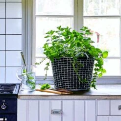 Trådkorg Korbo Classic 24 L, Galvaniserad -Hot Sale Wexthuset Store tradkorg classic 24 l galvaniserad med odlingssack