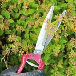 Perennsax, Perennial Hand Shear -Hot Sale Wexthuset Store trimsax topiary shears blad2