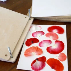 Växtpress -Hot Sale Wexthuset Store vaxtpress vallmoblad