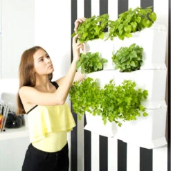 Minigarden One Vertikalodling, Vit -Hot Sale Wexthuset Store vaxtvagg minigarden one vit med kryddvaxter 2