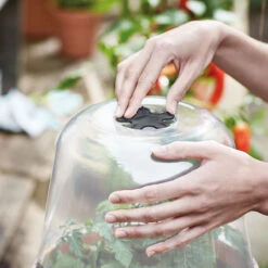 Elho Minidrivhus, Green Basics, Grön, 30 Cm -Hot Sale Wexthuset Store ventilation pa kupa green basics 30 cm 1