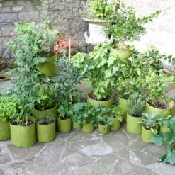 Odlingssäck Vigoroot Vegetable Planter -Hot Sale Wexthuset Store vigoroot odlingssackar olika storlekar 5